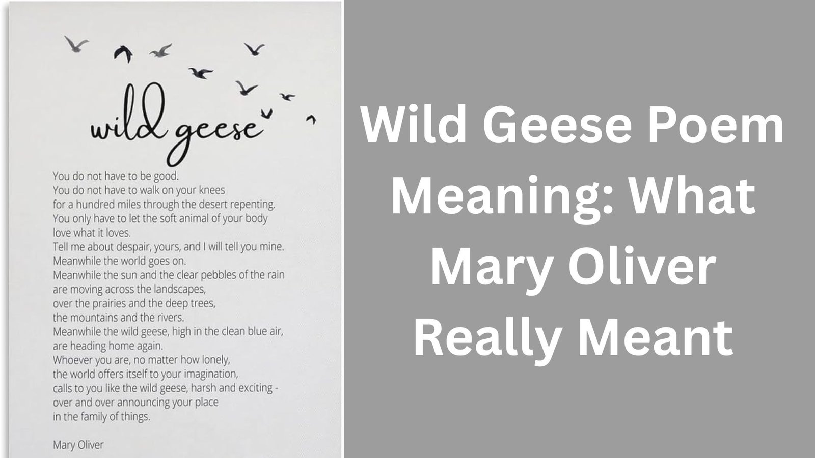 wild geese poem meaning