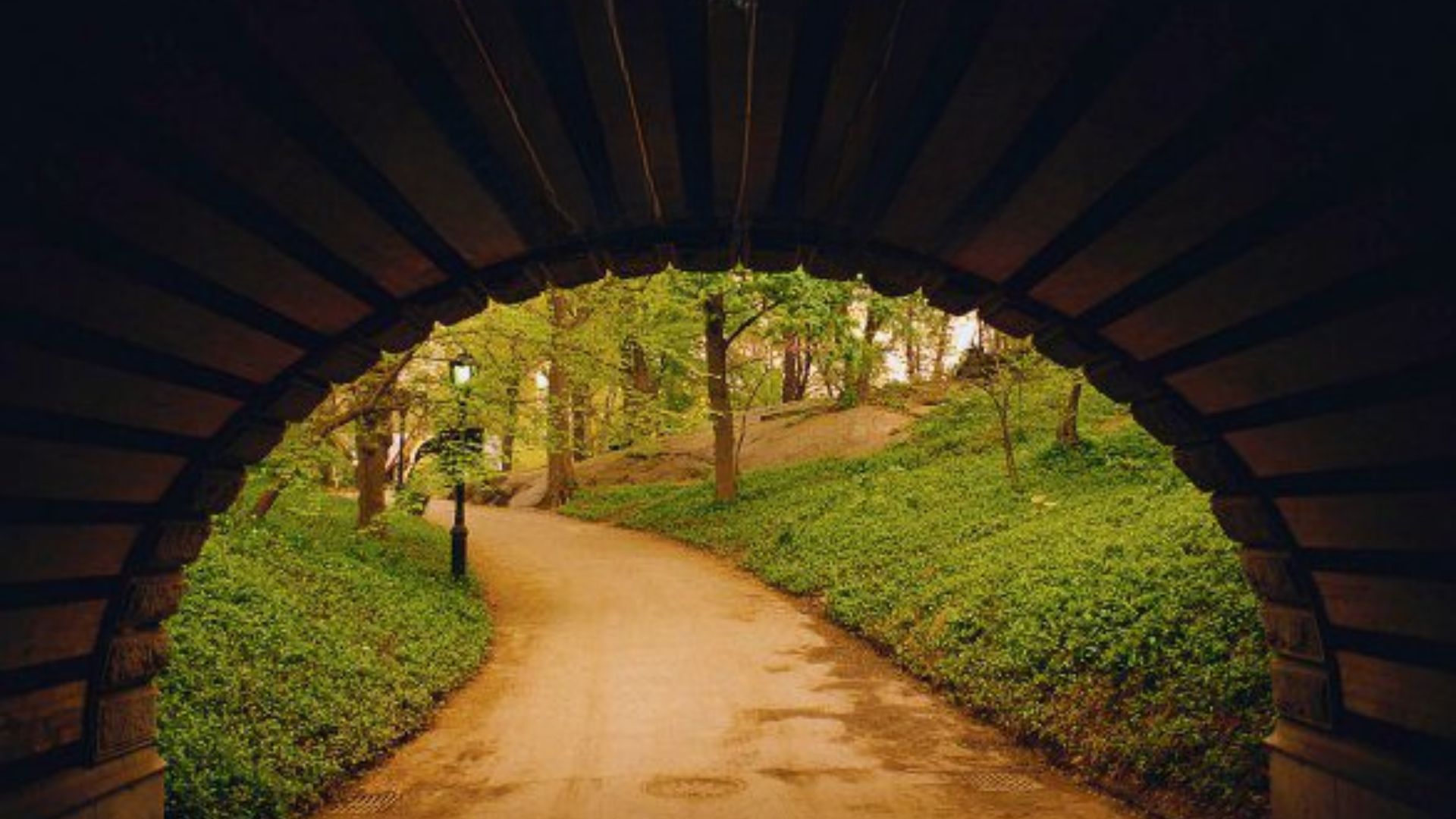 Winding path leads through lush forest to a wooden tunnel entrance.