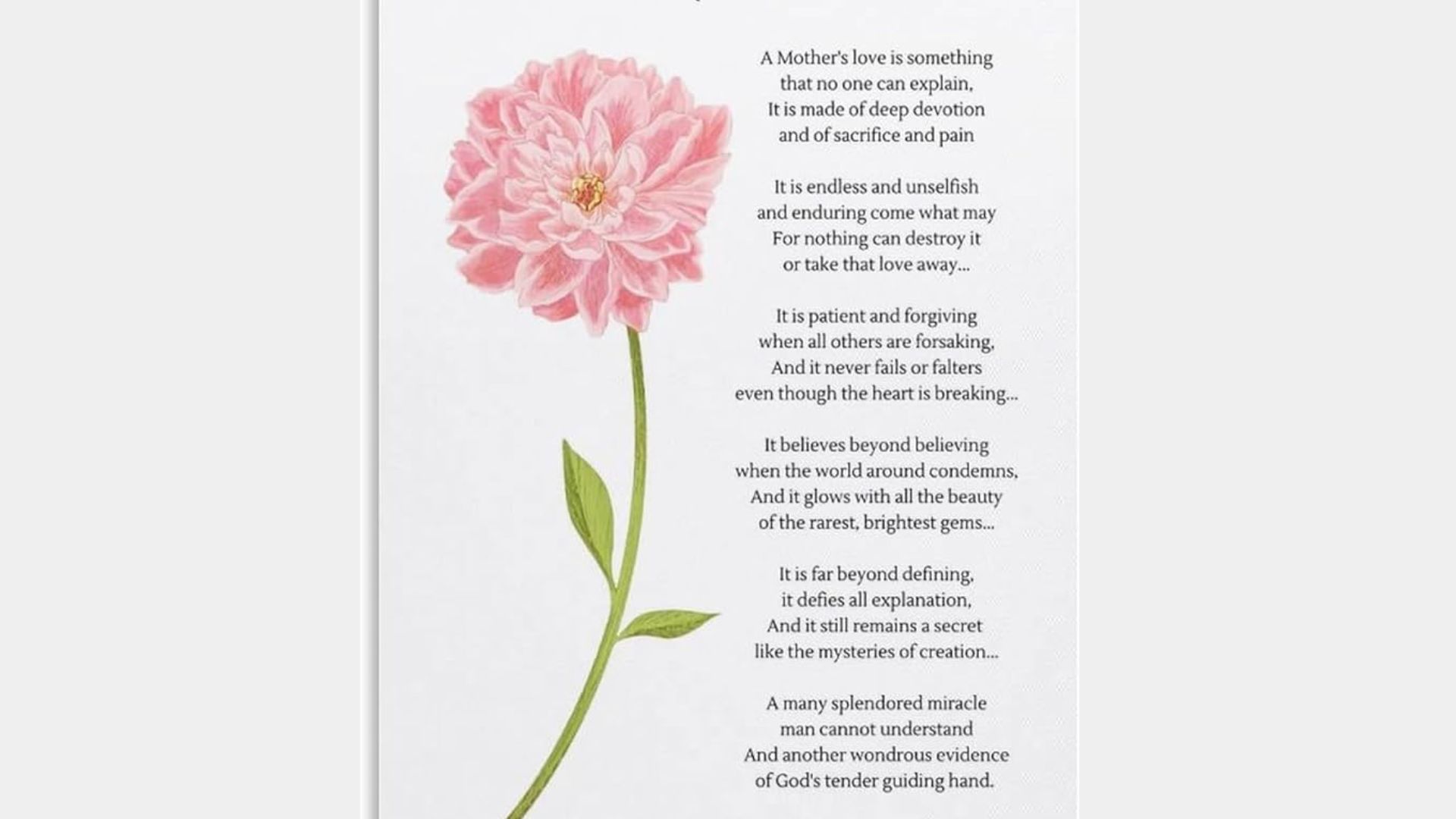 A delicate pink flower with green stem and leaves is featured on the left of the image, alongside a heartfelt poem about a mother’s love on the right.