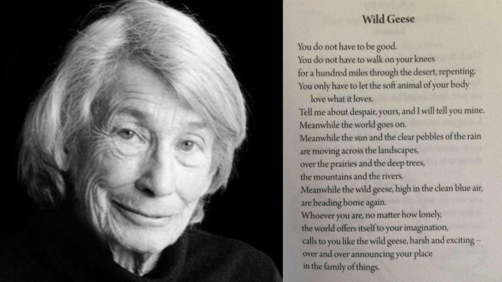 Wild Geese Poem Meaning