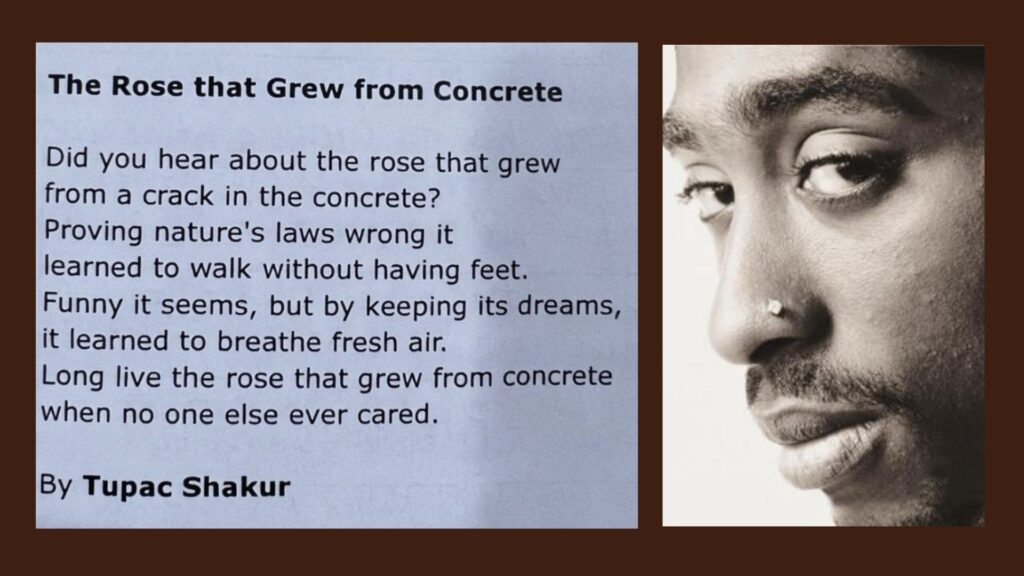 Featured image showcasing the Poet and the Poem “The Rose That Grew from Concrete “ by Tupac Shakur.