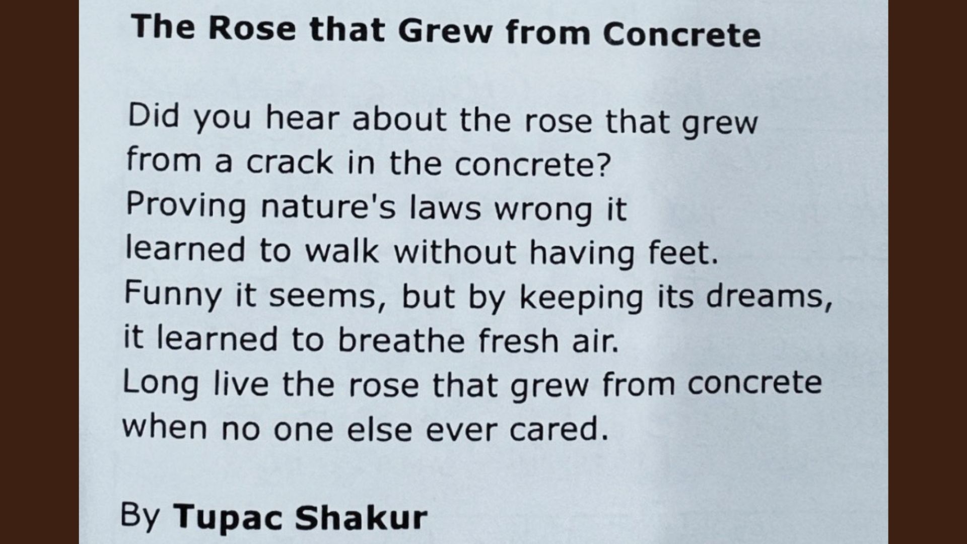 This is the “ The Rose That Grew from Concrete “ Poem by Tupac Shakur.
