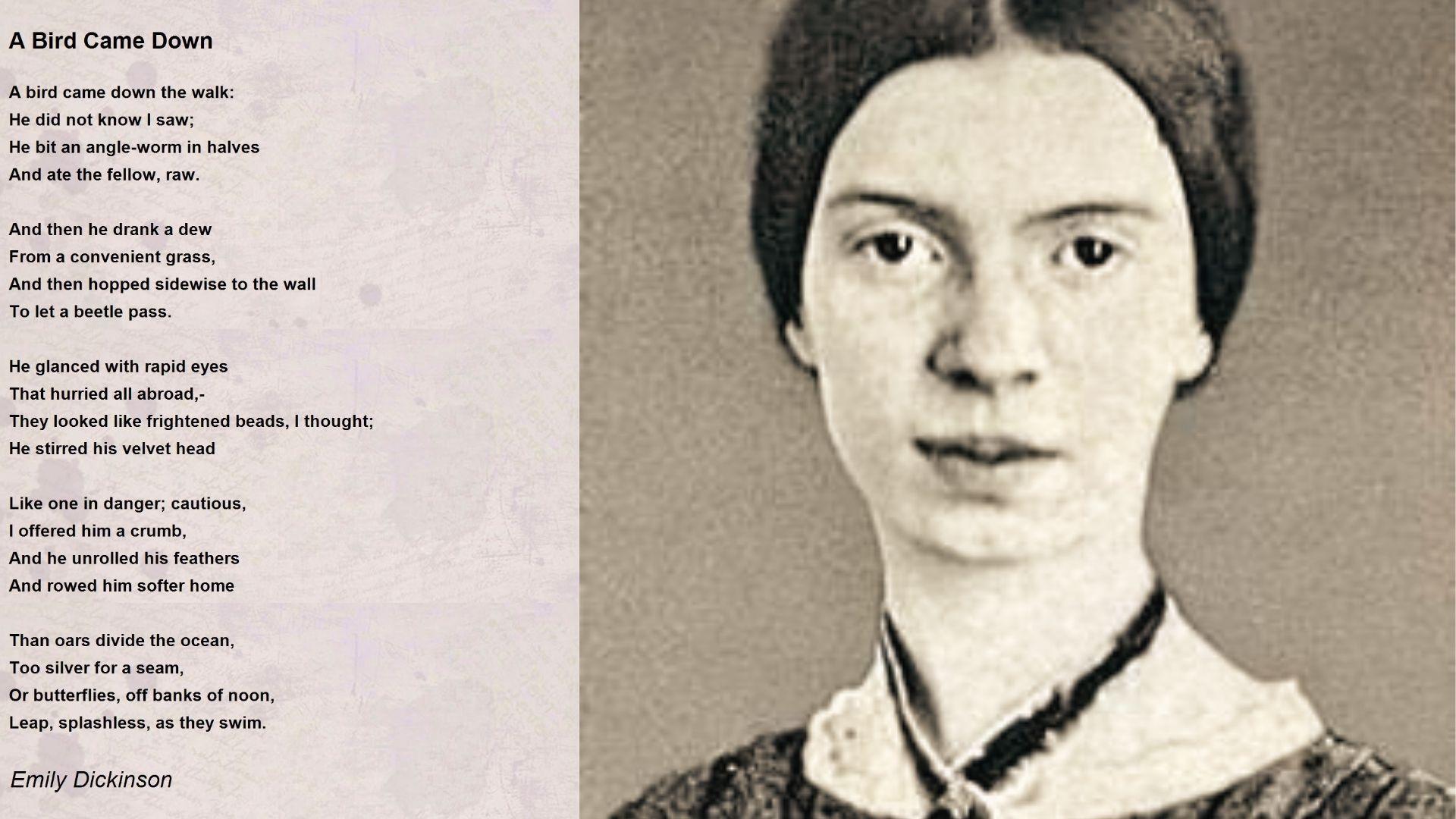 Emily Dickinson sepia portrait beside her poem 'A Bird Came Down' composed of quatrain stanzas.