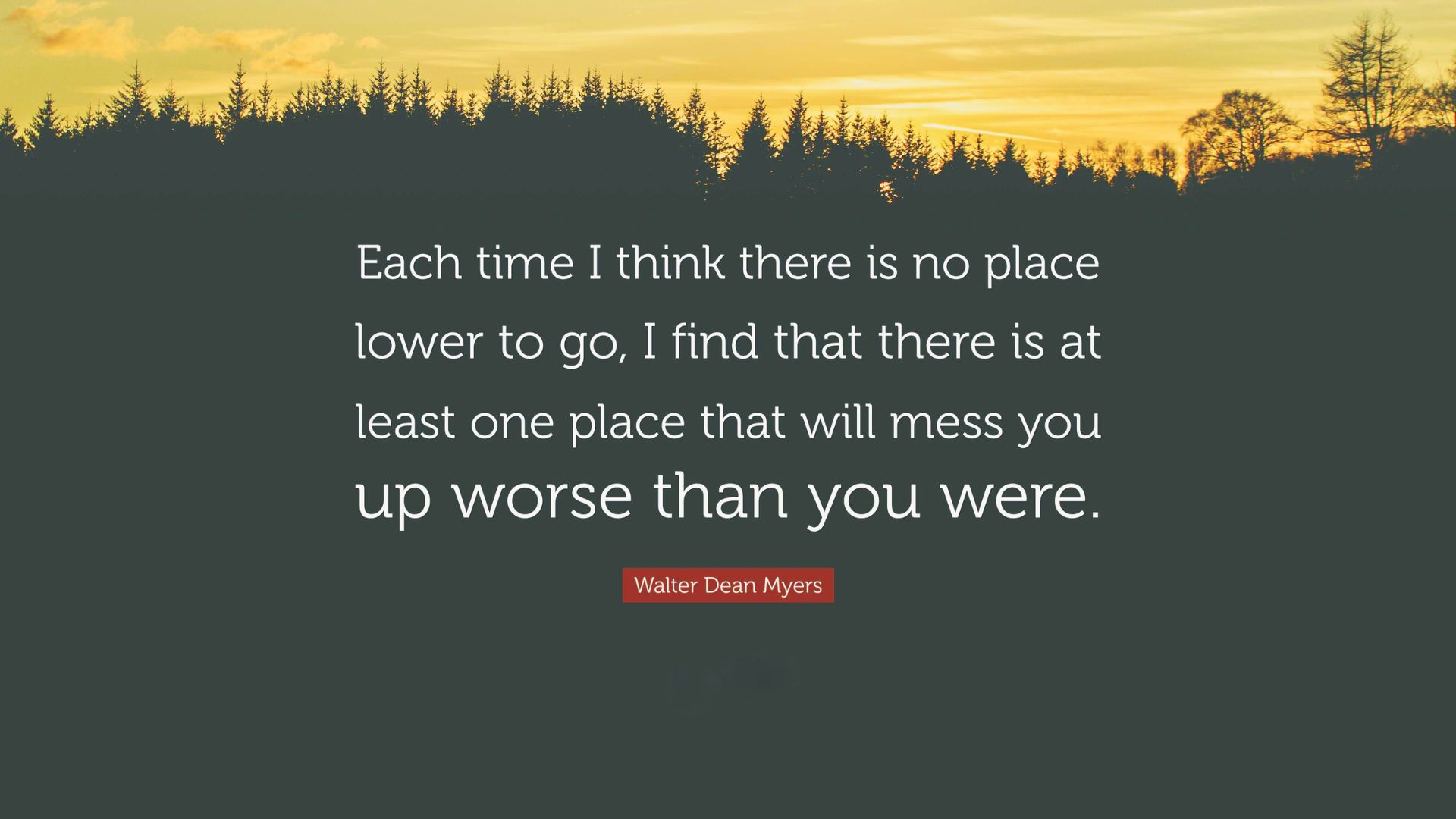 Silhouetted pine forest against a golden sunset sky, with a quote by Walter Dean Myers in white text.