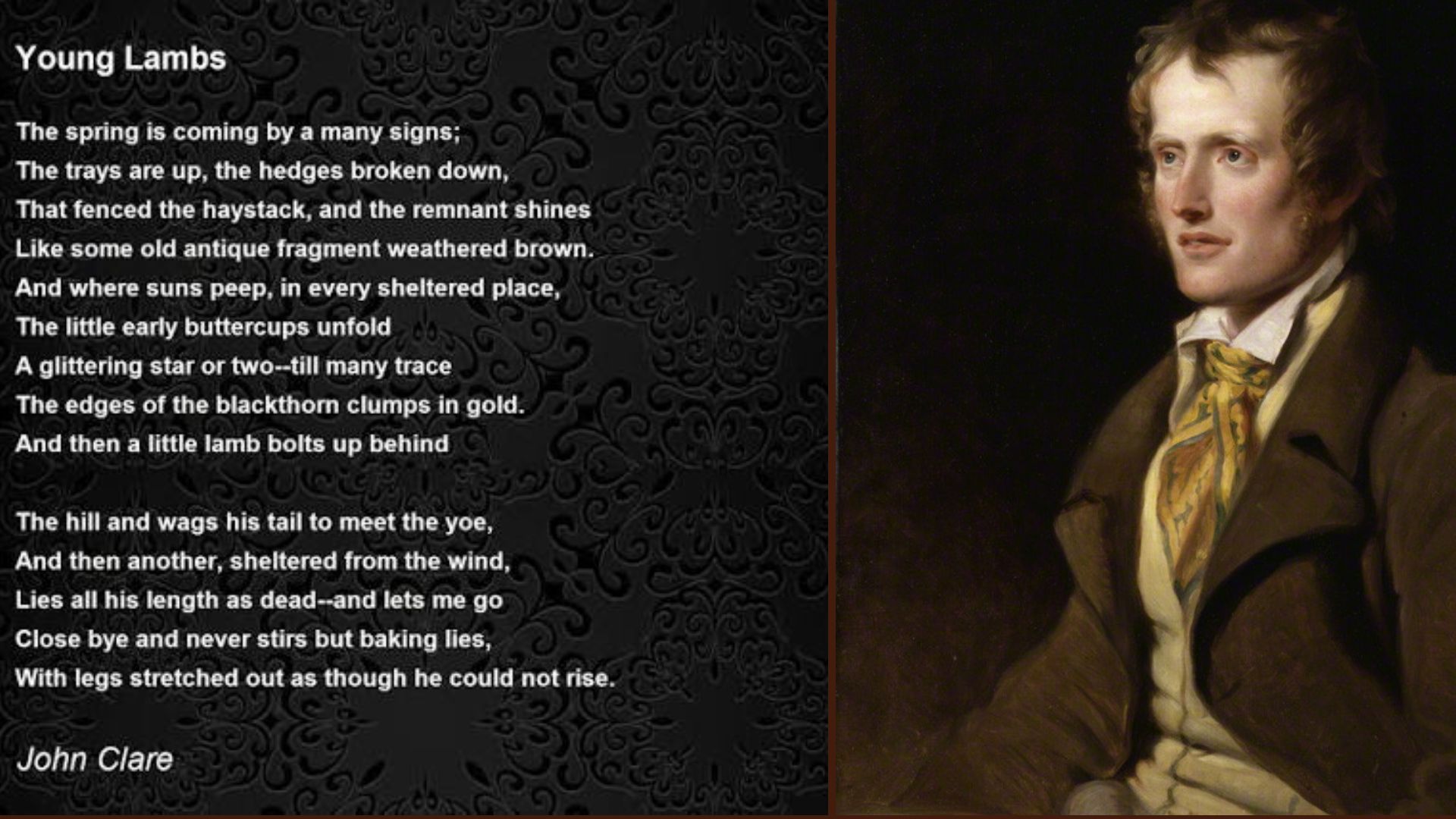 "Young Lambs by John Clare"