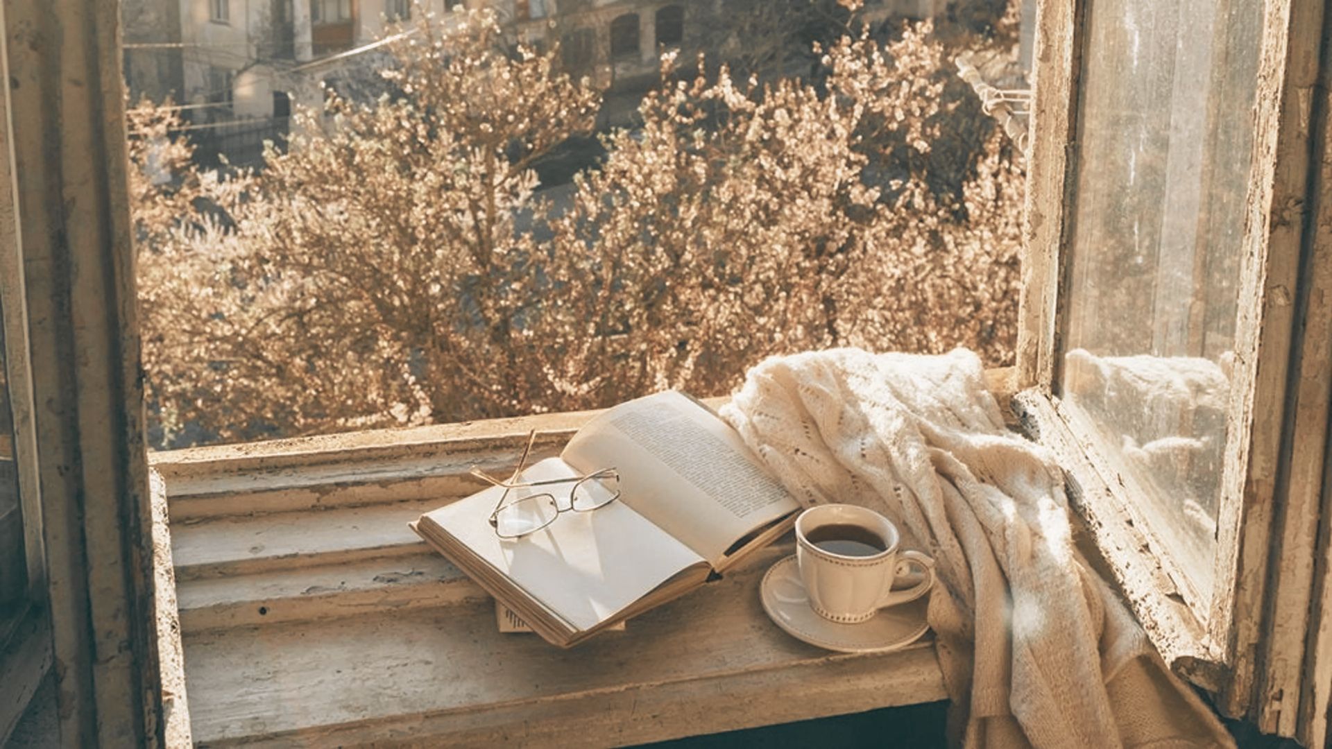 An open book, glasses, and a steaming cup of tea rest on a sunlit windowsill overlooking blooming trees.