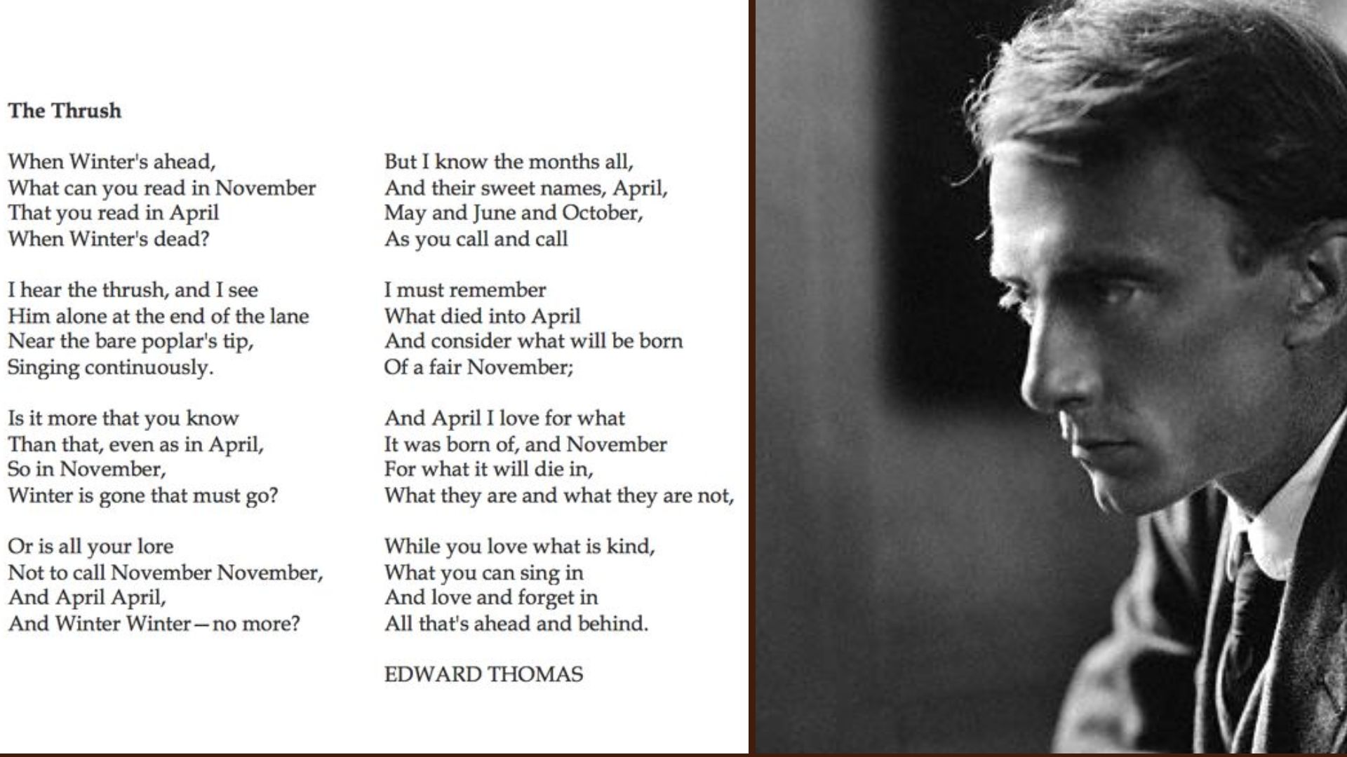 "The Thrush by Edward Thomas"