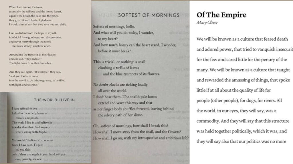 This image showcasing the collection poem of Mary Oliver