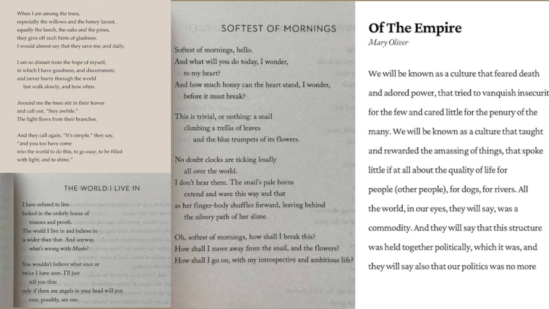 This image showcasing the collection poem of Mary Oliver