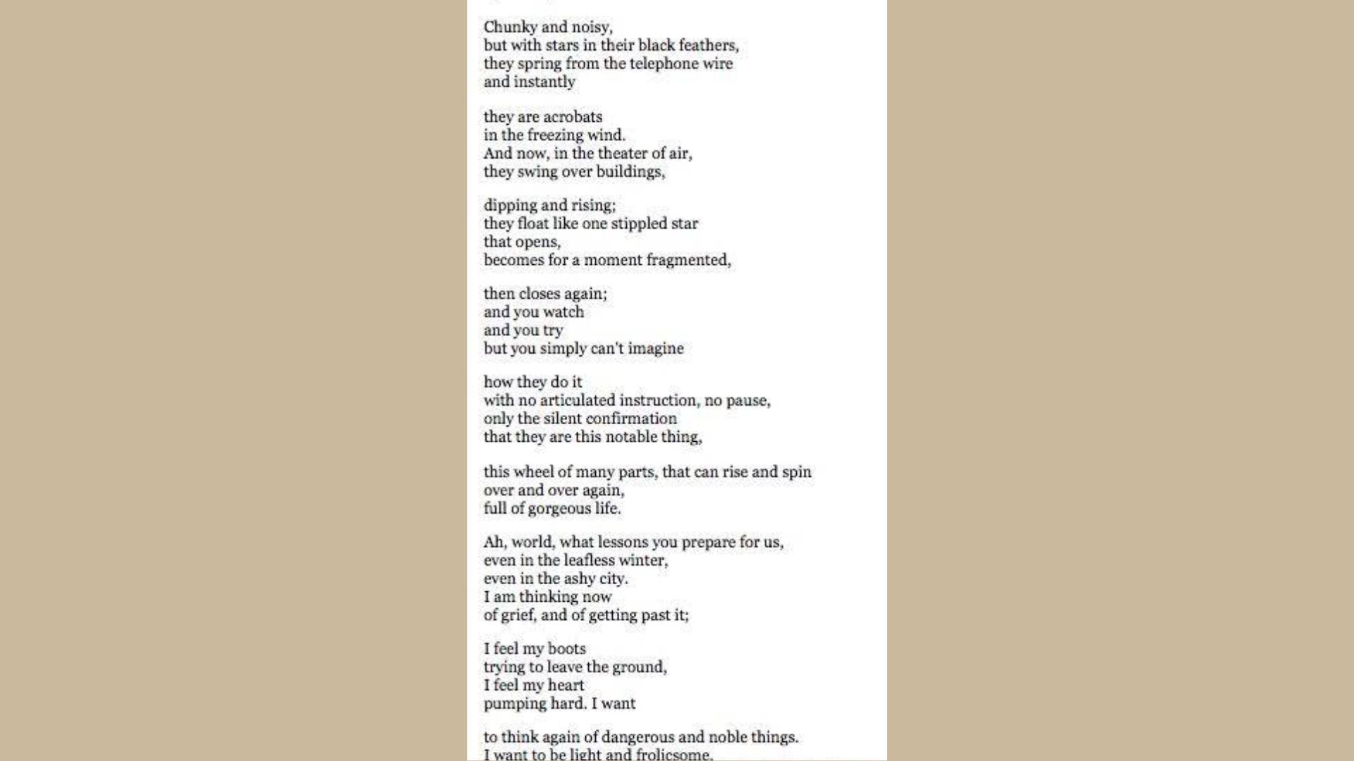 Starlings in Winter is one of the Must-Read Poems of Mary Oliver
