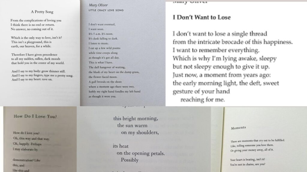 "Collage of printed poem lines'"