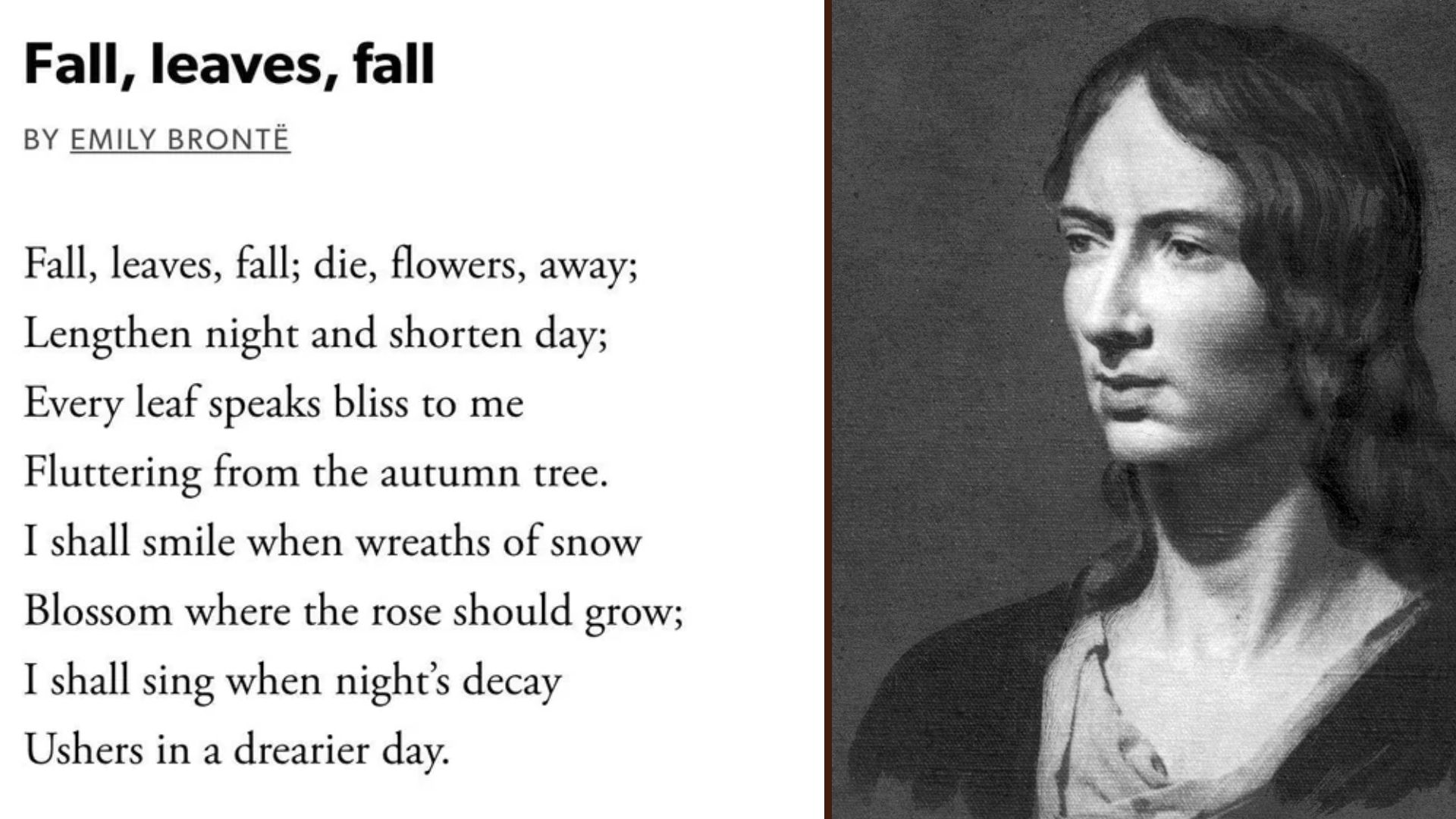 Fall, Leaves, Fall by Emily Brontë