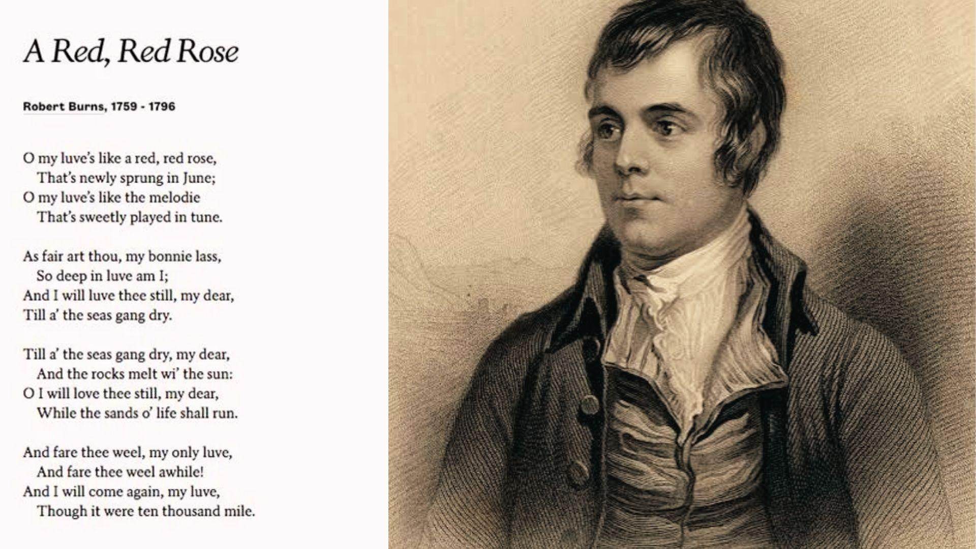 Robert Burns engraved portrait beside 'A Red, Red Rose' love poem written in four-line quatrain stanzas.