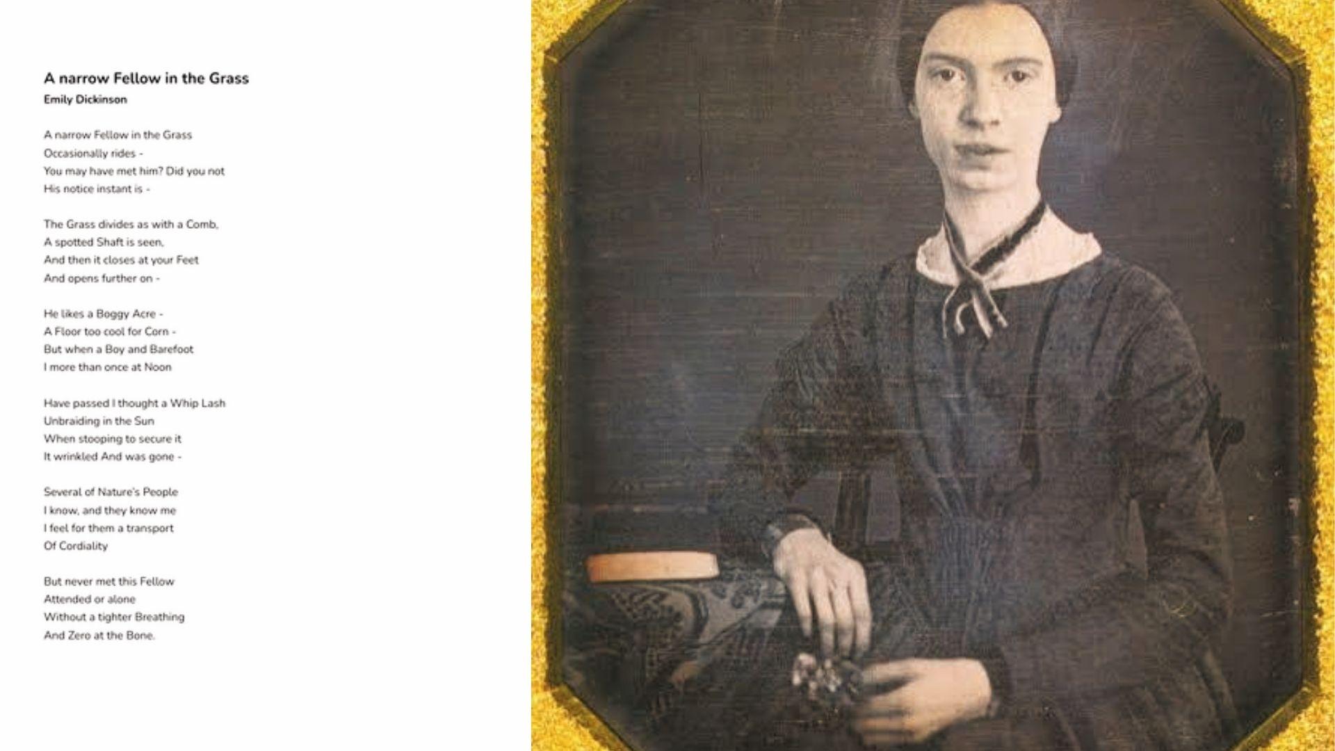 Emily Dickinson daguerreotype portrait next to her poem 'A narrow Fellow in the Grass' in quatrains.