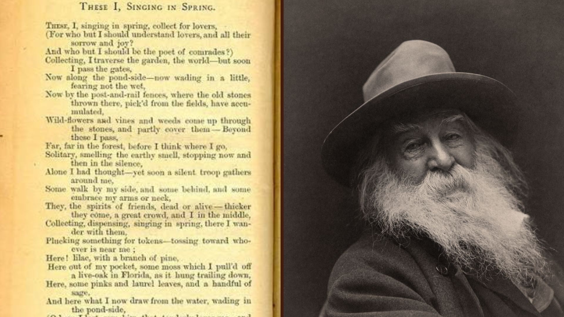 "These, I, Singing in Spring by Walt Whitman"