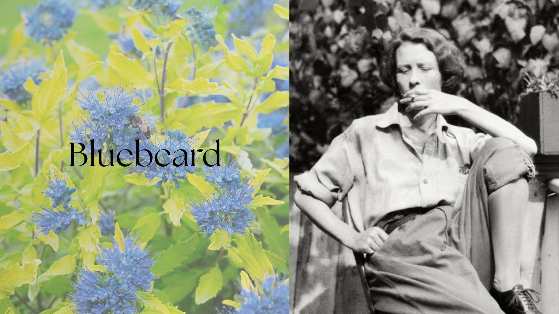 Blue flowering Bluebeard shrub with a bee beside a black-and-white female poet's portrait and poem title