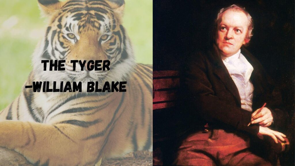 Graphic of William Blake's poem 'The Tyger' featuring a tiger and poet's portrait