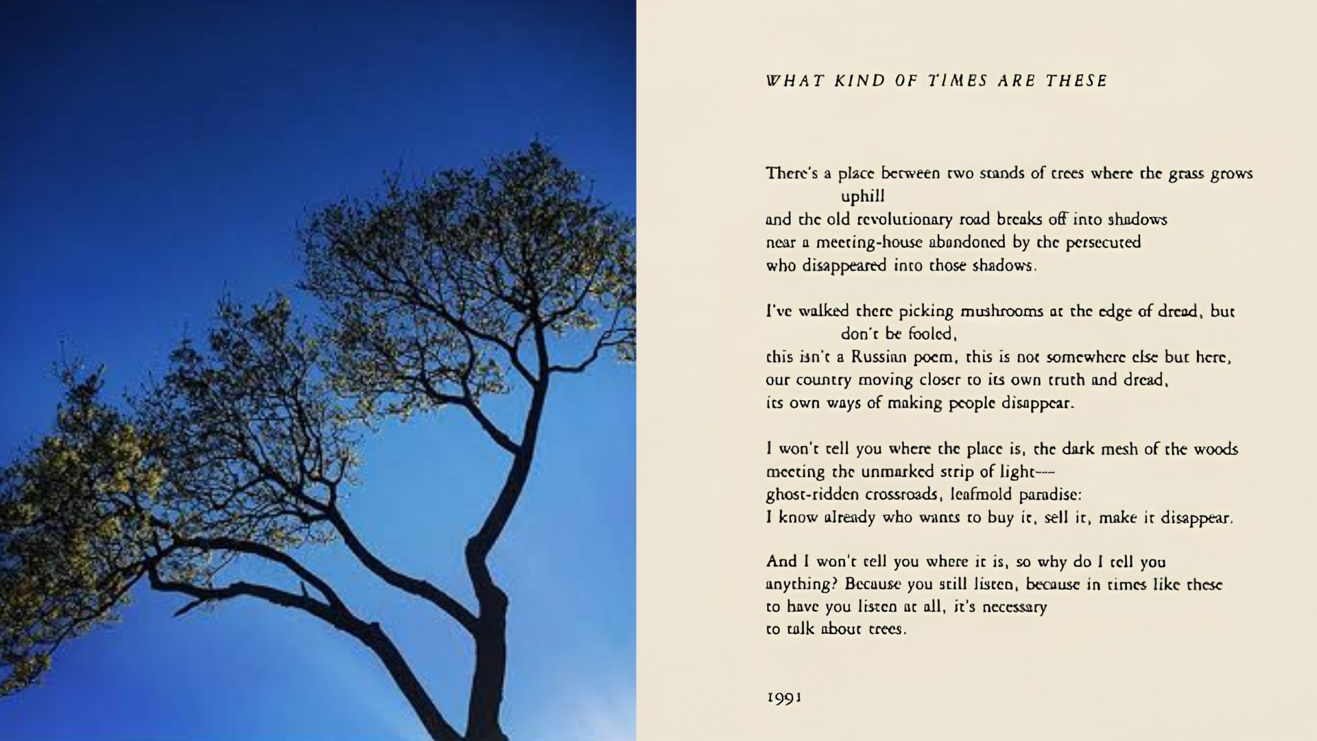 Silhouetted tree against bright blue sky beside Adrienne Rich poem What Kind Of Times Are These from 1991 File name: what-kind-of-times-are-these-poem-tree-silhouette-blue-sky