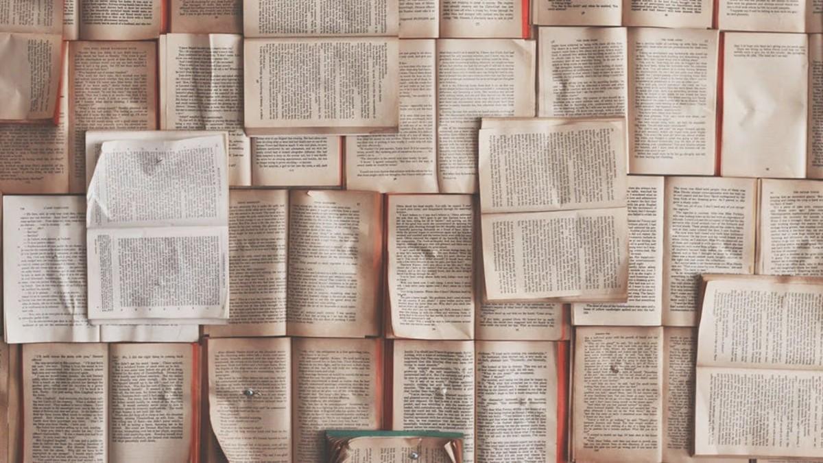 Dozens of open books spread flat covering an entire surface File Name:open-books-spread-across-flat-surface-reading-collection