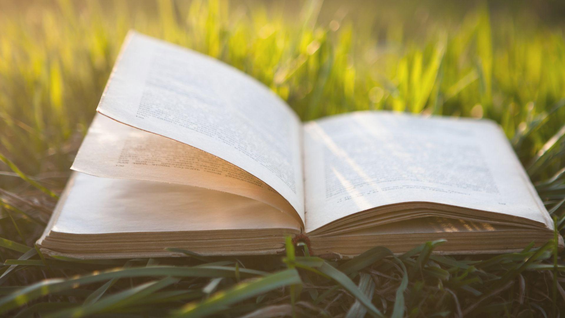 Open book with golden pages resting on lush green grass outdoors