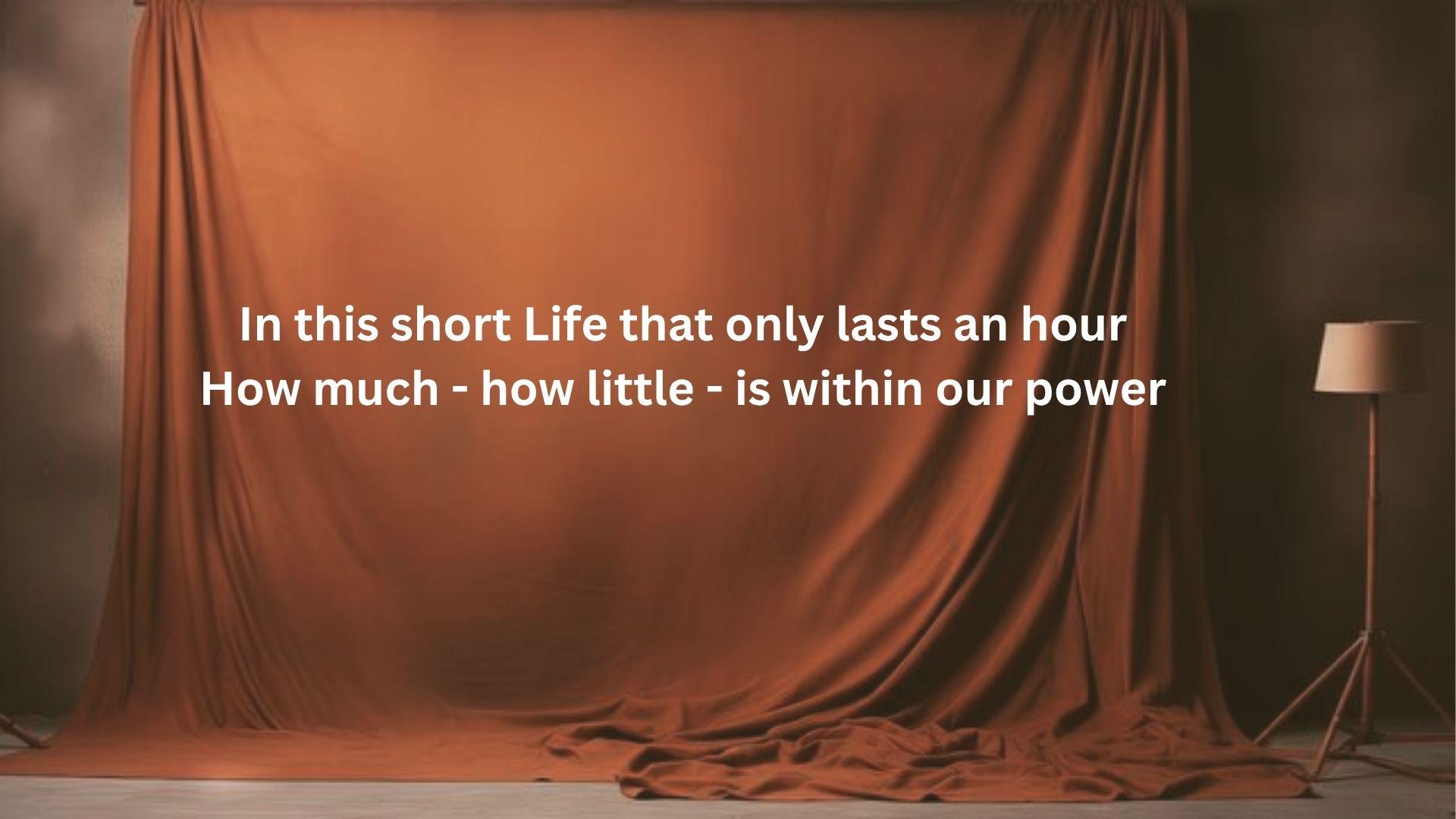 Emily Dickinson’s “In This Short Life” poem displayed against a draped backdrop