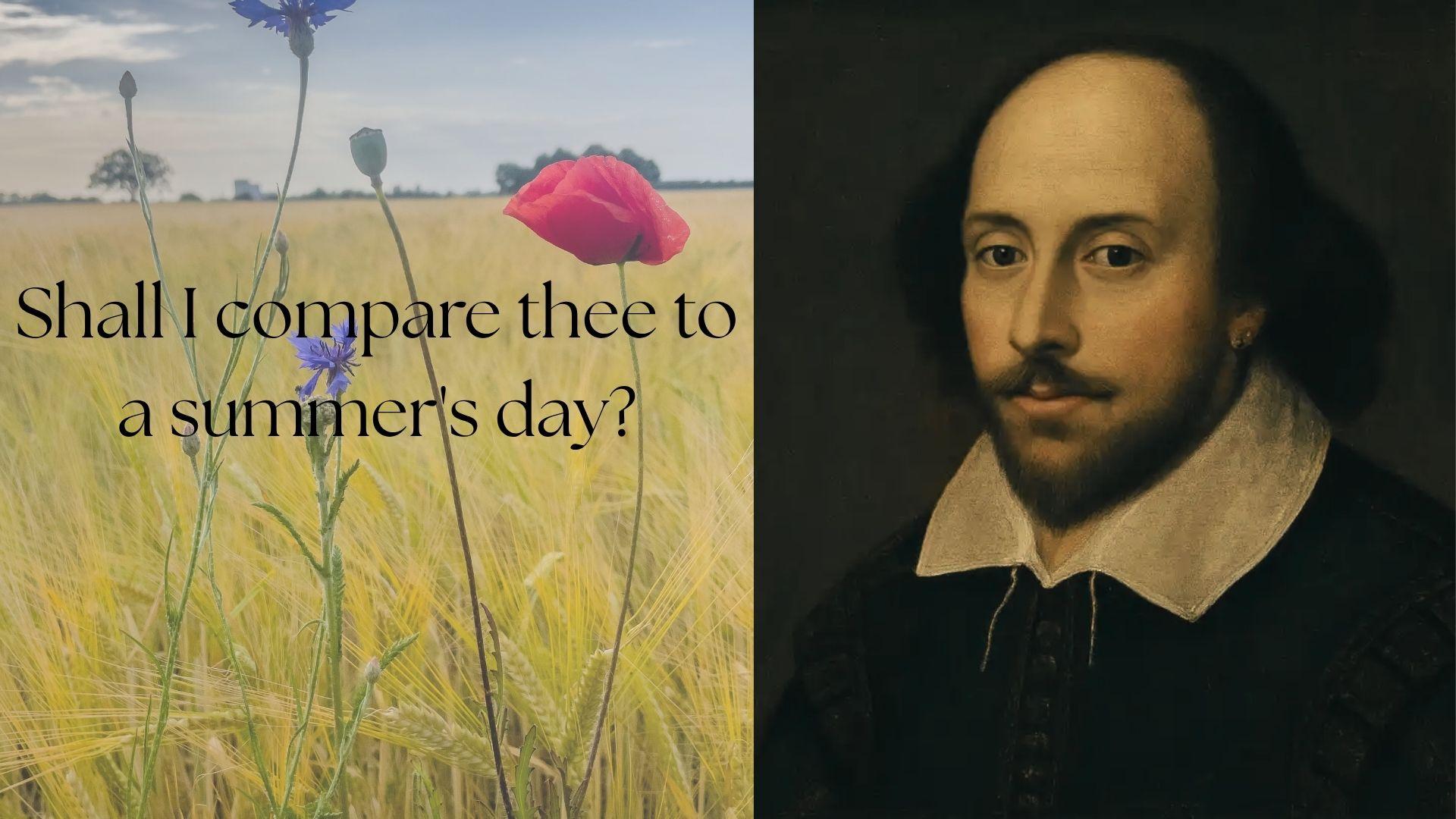 William Shakespeare portrait beside a summer field with a blooming red poppy