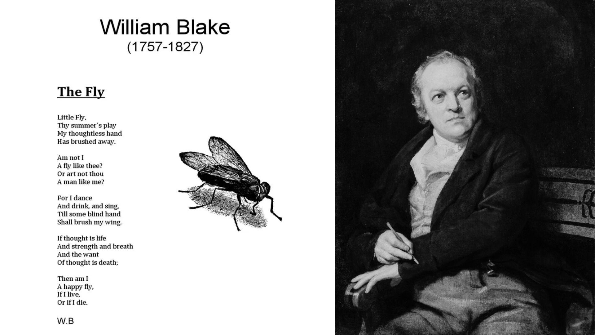 William Blake portrait beside a printed page of The Fly