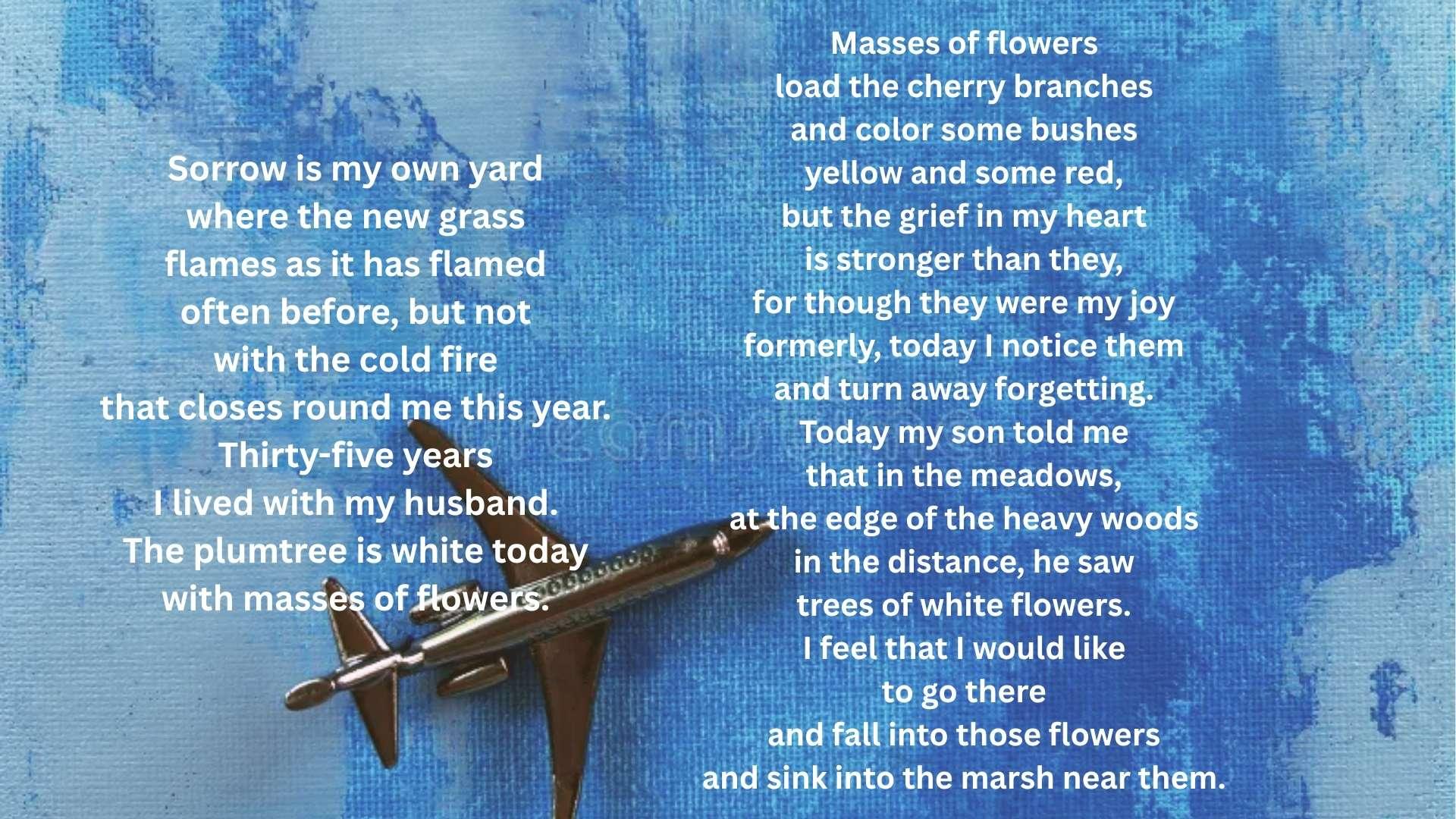 This Is The Widow's Lament in Springtime poem displayed over a colourful textured background and plane.