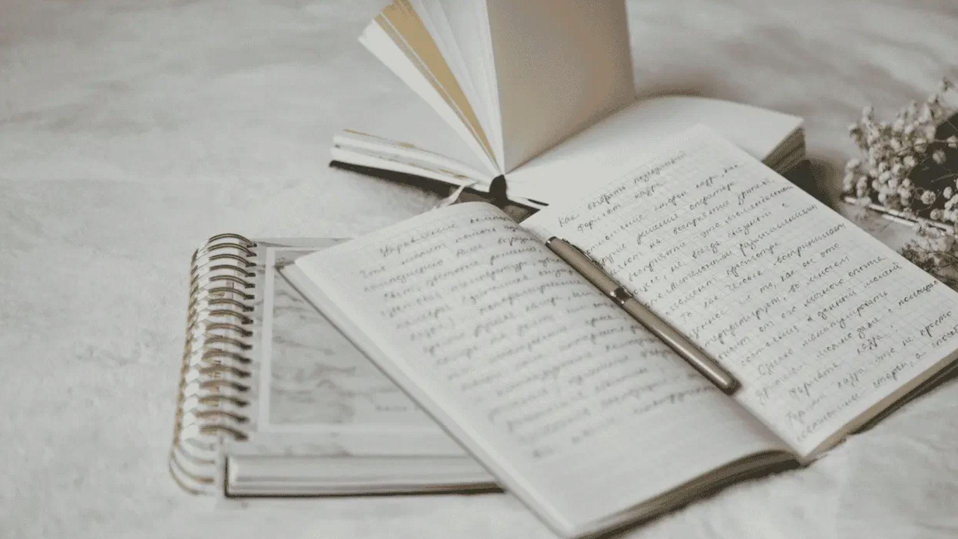 Open handwritten journals and a pen arranged on a light surface