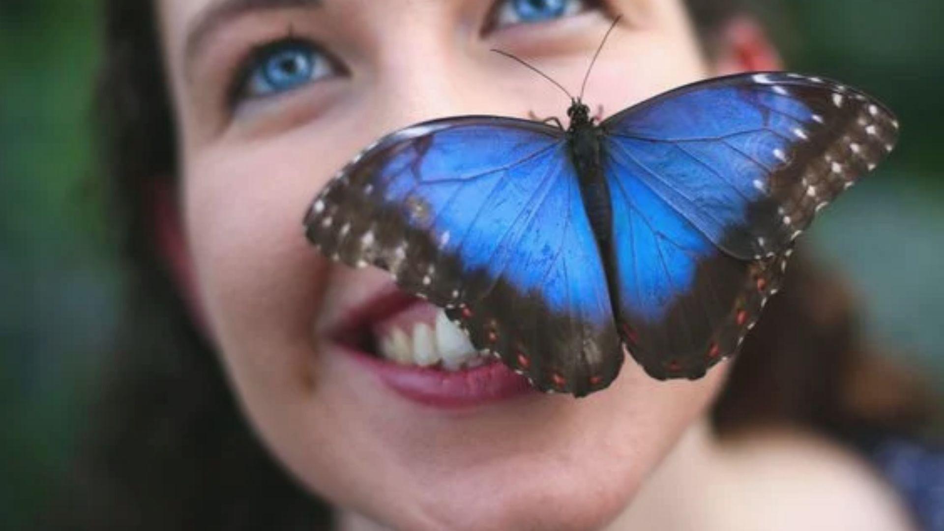 Vibrant blue butterfly perched on a smiling young girl's face