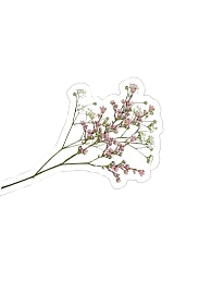 Dried flower sticker decoration on book page