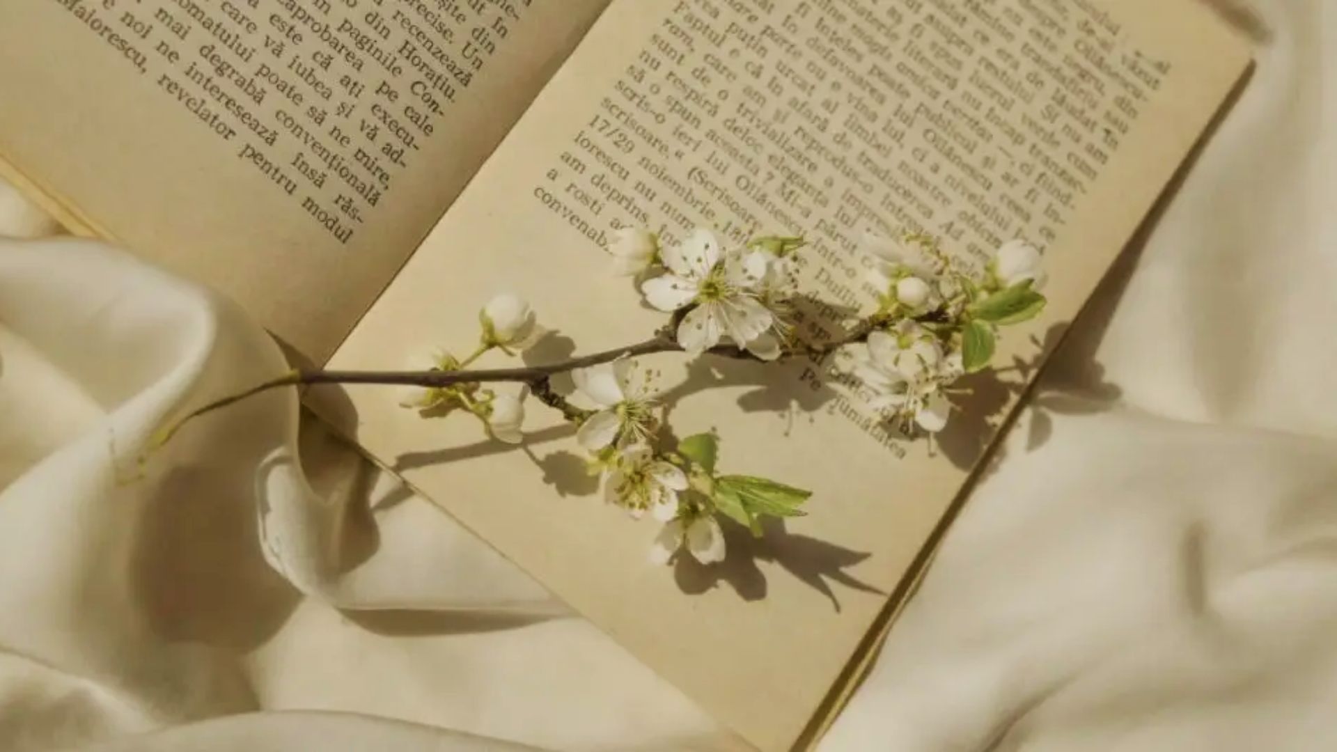 Open book with printed pages and a flowering branch resting across the text.